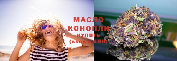 сатива Новокубанск