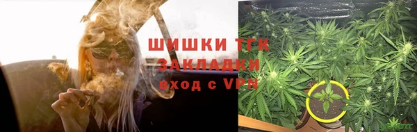 трава Новозыбков