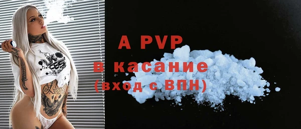 сатива Новокубанск