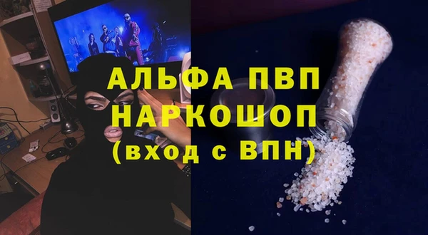 сатива Новокубанск