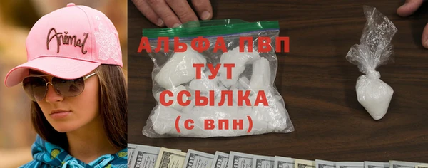 сатива Новокубанск