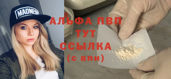 гидра Новодвинск