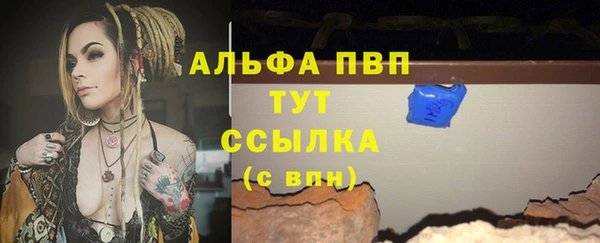 трава Новозыбков