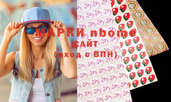 гидра Новодвинск