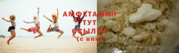 сатива Новокубанск