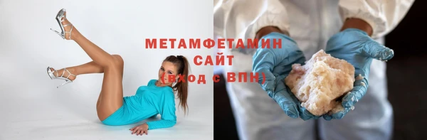 сатива Новокубанск