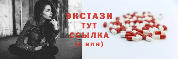 гидра Новодвинск