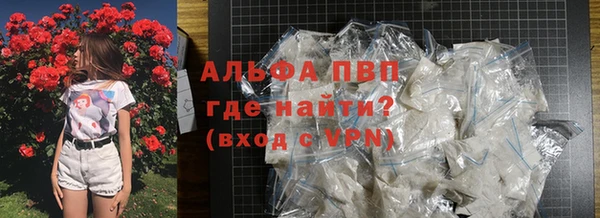 сатива Новокубанск