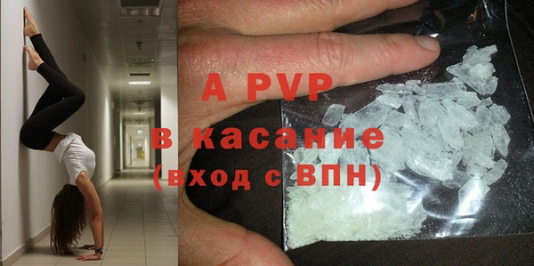 гидра Новодвинск