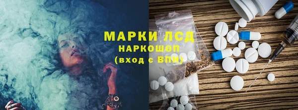 трава Новозыбков