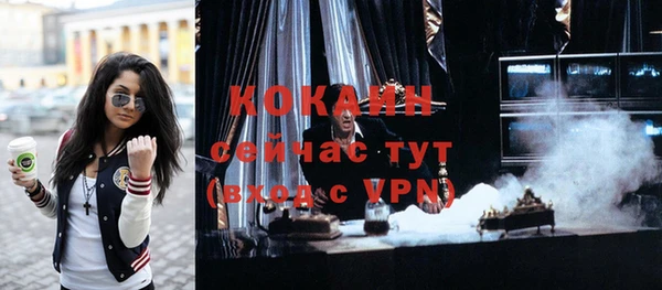 трава Новозыбков