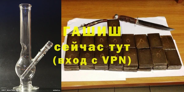сатива Новокубанск