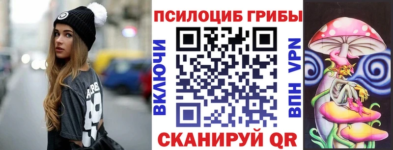 Галлюциногенные грибы мухоморы  мориарти наркотические препараты  Кингисепп 