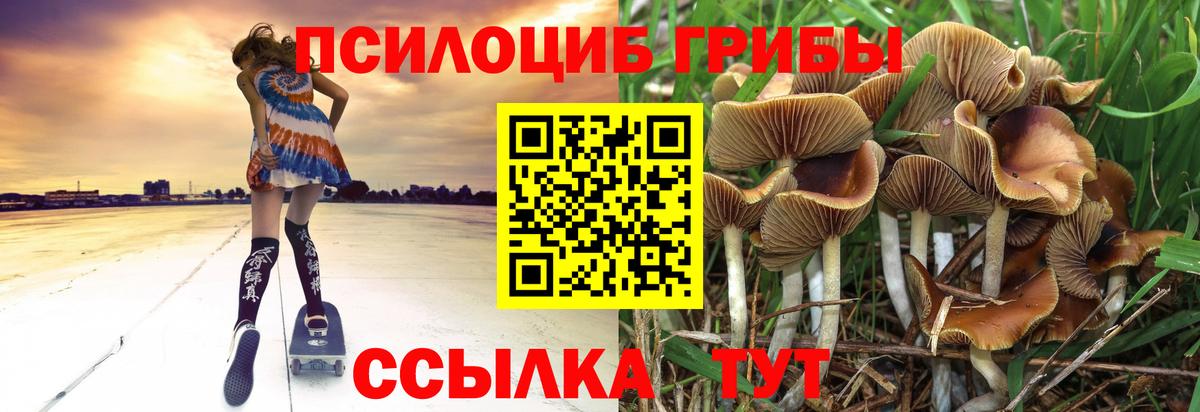 Псилоцибиновые грибы мухоморы Кингисепп