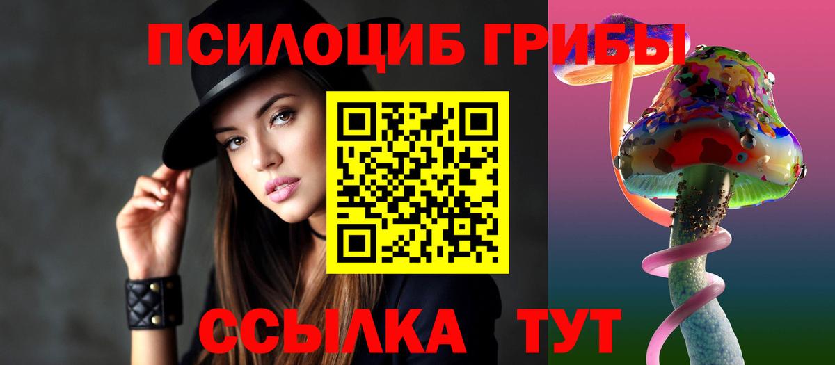 Кингисепп  Галлюциногенные грибы GOLDEN TEACHER  закладки  Вход с VPN 