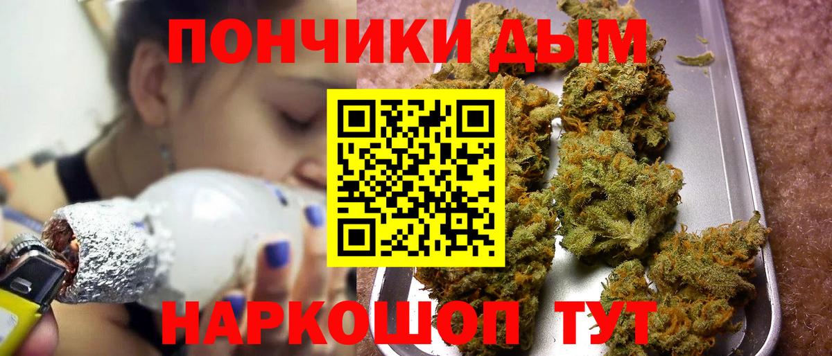 Канабис сатива Кингисепп